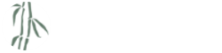 外贸询盘 X076（茶叶茶道）