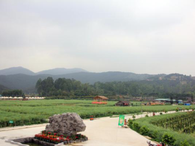 Spring Festival, 2016 Quarter 1 activities were held as scheduled