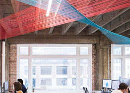 The government has named Nippon as unenvironmentally friendly and accused it of polluting the air, water and soil