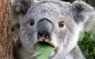 After two years of making fast money on 