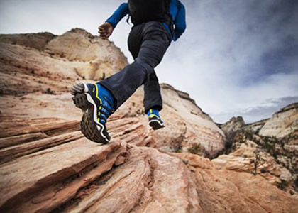 The Effect of Outward Bound Training on 