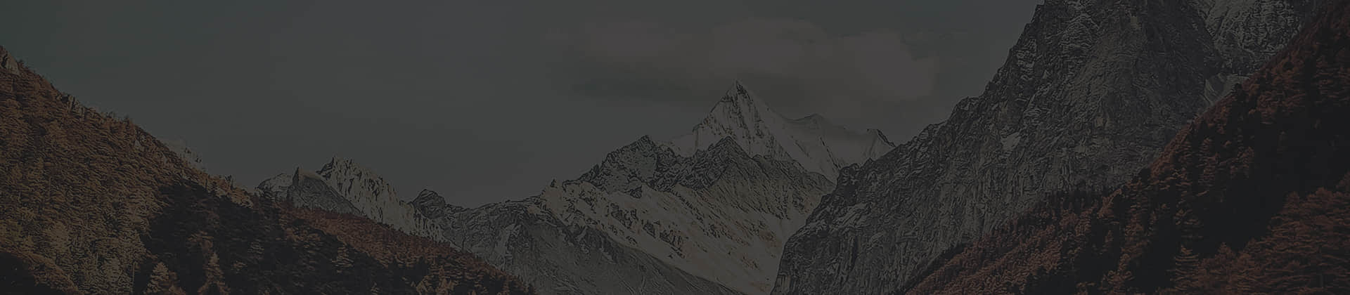 Perfil de la empresa