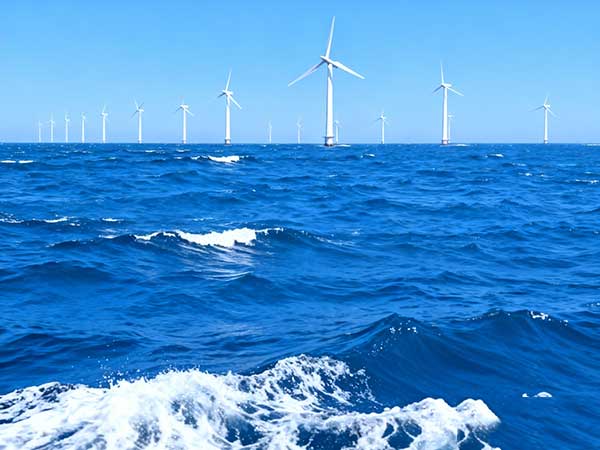 Two vertical ring winding packaging machines shipped