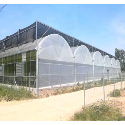 Cucumber, tomato hanging seedling clip greenhouse