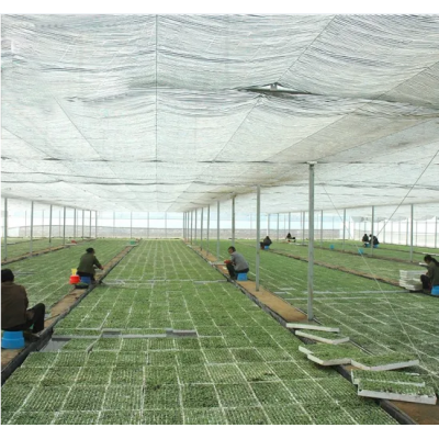 Simple single arch shed Warm in winter and cool in summer Single greenhouse