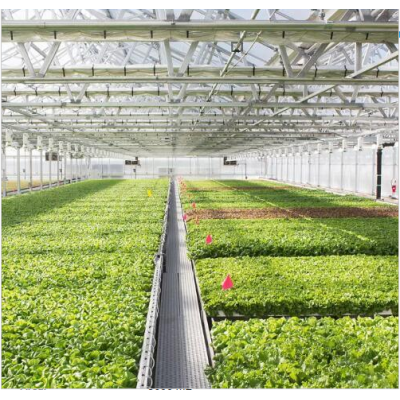 Greenhouse melon and fruit planting shed custom full set of three-dimensional greenhouse
