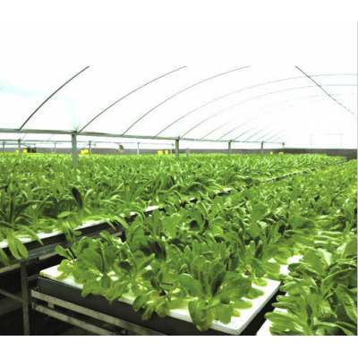Cultured vegetables Household planting greenhouse Professional shed