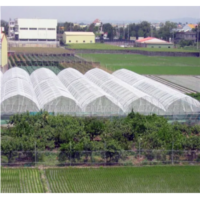 Fruit and vegetable agriculture shed