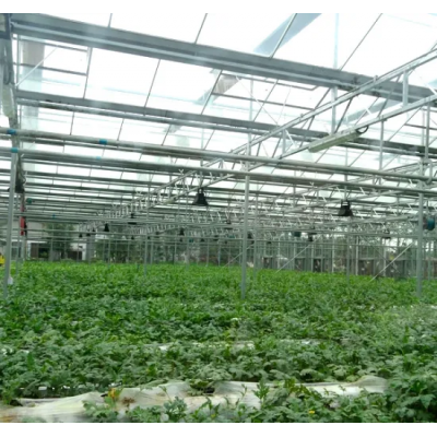 Greenhouse greenhouse