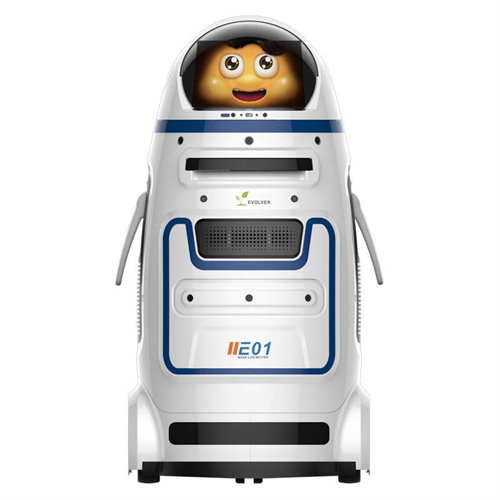 Z2 robot