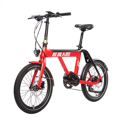 Dual disc brake variable speed mountain bike bicycle