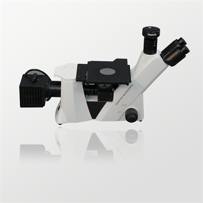 Research Grade Stereo Microscope