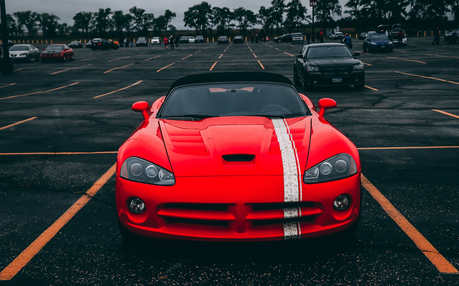 Song PLUS New Energy