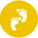 Development History